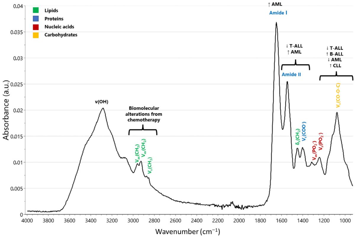 Fig.3 Infrared spectroscopy shows nucleic acids